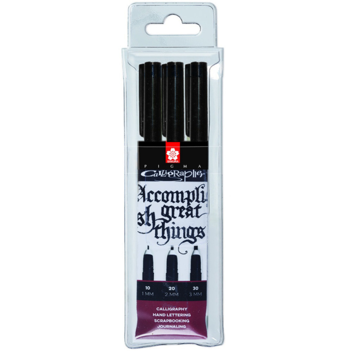 Calligrapher Pen 3-set i gruppen Hobby & Kreativitet / Kalligrafi / Kalligrafipenner hos Pen Store (102297)