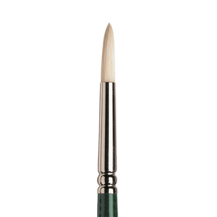 Winton Svinebustpensel St 4 i gruppen Kunstnermateriell / Pensler / Hårpensler / Svinebustpensler hos Pen Store (107584)