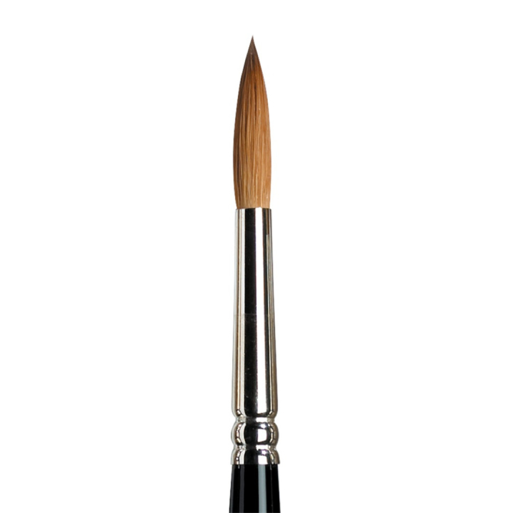 Series 7 Kolinsky Mårhårpensel 7 i gruppen Kunstnermateriell / Pensler /  Akvarellpensler hos Pen Store (107673)