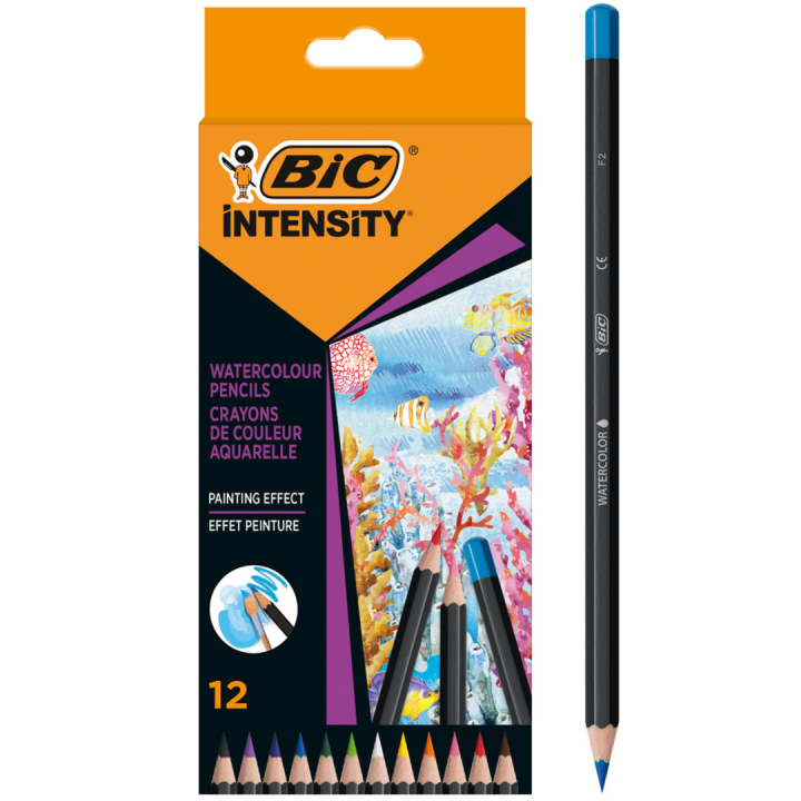 Akvarellblyanter Intensity 12 stk i gruppen Penner / Kunstnerpenner / Akvarellblyanter hos Pen Store (130133)
