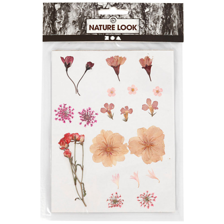Tørkede blomster og blader Lys rosa i gruppen Hobby & Kreativitet / Teknikker / Scrapbooking hos Pen Store (130763)