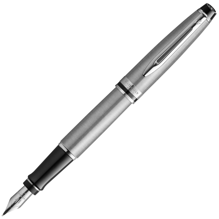 Expert Steel Fyllepenn Medium i gruppen Penner / Fine Writing / Fyllepenner hos Pen Store (135462)