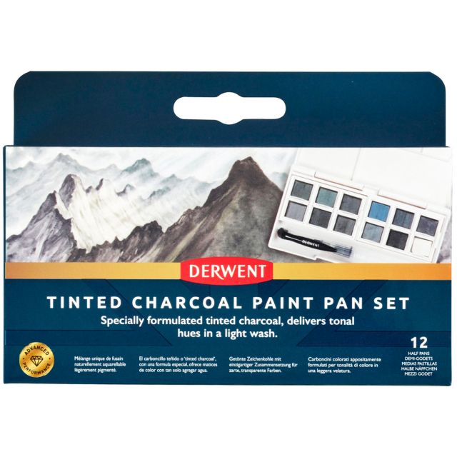 Tinted Charcoal Paint Pan Set 12 halvkopper