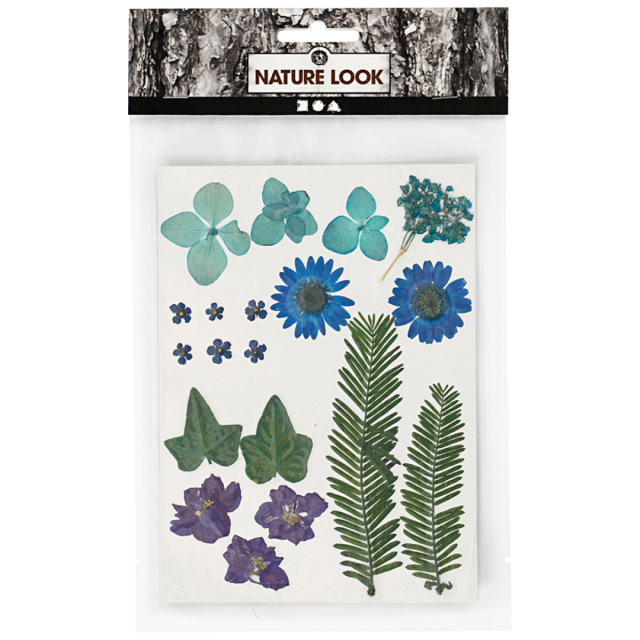 Tørkede blomster og blader Blå