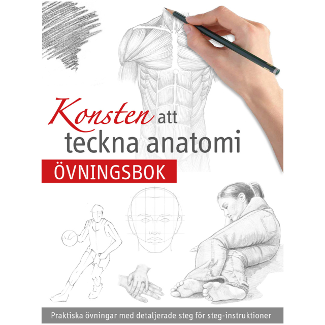 Kunsten å tegne Anatomi
