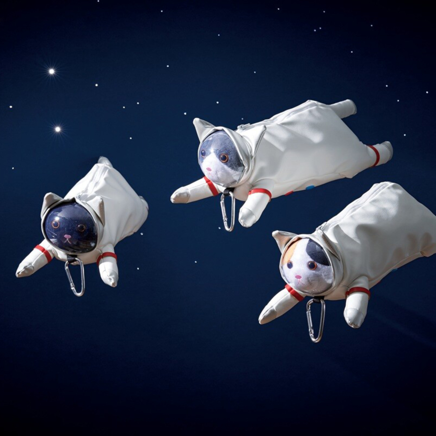 Pennal Astro Cat Black