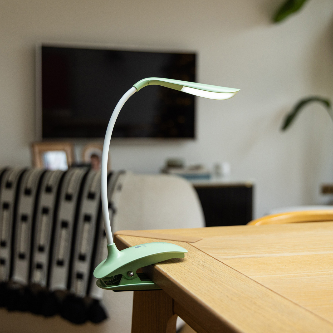 Smart Clip-on Sage Green