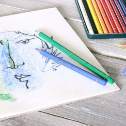 Polychromos stykkevis i gruppen Penner / Kunstnerpenner / Fargeblyanter hos Pen Store (105856_r)