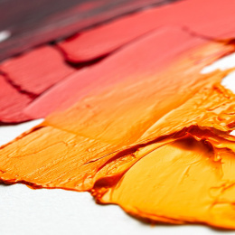 Winton Oljemaling Tub 37 ml 10-set i gruppen Kunstnermateriell / Kunstnerfarge / Oljemaling hos Pen Store (107256)