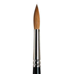 Series 7 Kolinsky Mårhårpensel 8 i gruppen Kunstnermateriell / Pensler /  Akvarellpensler hos Pen Store (107674)