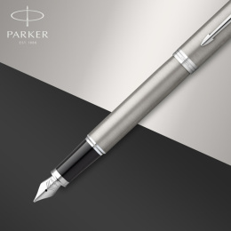 IM Stainless Steel Fyllepen i gruppen Penner / Fine Writing / Fyllepenner hos Pen Store (125380)