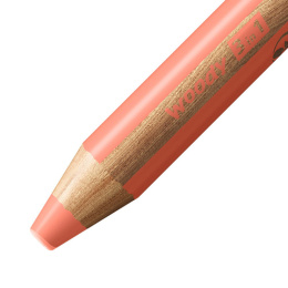 Woody 3-in-1 Fargeblyanter Pastell 6-sett + spisser i gruppen Kids / Barnepenner / Fargeblyanter for barn hos Pen Store (127789)