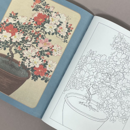 The Delightful Japanese Art Colouring Book i gruppen Hobby & Kreativitet / Bøker / Fargebøker for voksne hos Pen Store (129242)