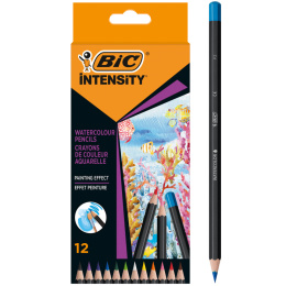 Akvarellblyanter Intensity 12 stk i gruppen Penner / Kunstnerpenner / Akvarellblyanter hos Pen Store (130133)