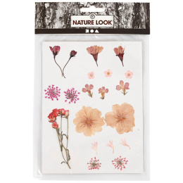 Tørkede blomster og blader Lys rosa i gruppen Hobby & Kreativitet / Teknikker / Scrapbooking hos Pen Store (130763)