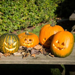 Skjæresett til Gresskar 5 deler + maler i gruppen Hobby & Kreativitet / Høytider og sesong / Halloween hos Pen Store (132630)