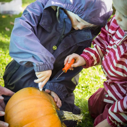 Skjæresett til Gresskar 5 deler + maler i gruppen Hobby & Kreativitet / Høytider og sesong / Halloween hos Pen Store (132630)