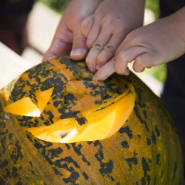 Skjæresett til Gresskar 5 deler + maler i gruppen Hobby & Kreativitet / Høytider og sesong / Halloween hos Pen Store (132630)