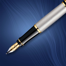 Expert Steel/Gold Fyllepenn i gruppen Penner / Fine Writing / Fyllepenner hos Pen Store (135459_r)