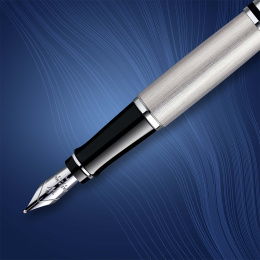 Expert Steel Fyllepenn Medium i gruppen Penner / Fine Writing / Fyllepenner hos Pen Store (135462)