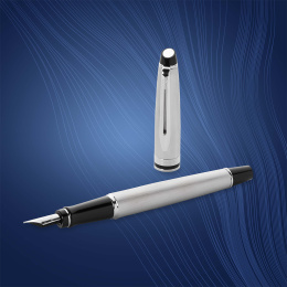 Expert Steel Fyllepenn Medium i gruppen Penner / Fine Writing / Fyllepenner hos Pen Store (135462)