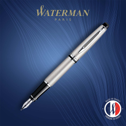 Expert Steel Fyllepenn Medium i gruppen Penner / Fine Writing / Fyllepenner hos Pen Store (135462)