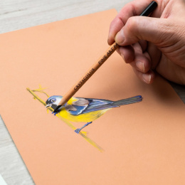Fine Art Pastellpennsett 7 deler i gruppen Penner / Kunstnerpenner / Pastellblyanter hos Pen Store (135654)