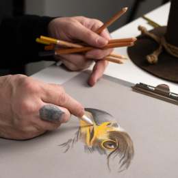 Eagle Tegnesett 12 deler i gruppen Penner / Kunstnerpenner / Pastellblyanter hos Pen Store (135655)