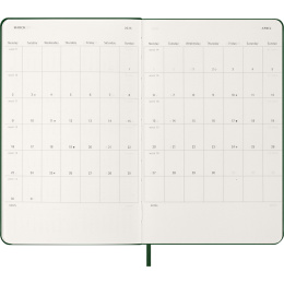 Kalender 12M Daily 2026 Hardcover Large Myrtle Green i gruppen  Papir & Blokk / Kalendere / 12 md kalendere hos Pen Store (136083)