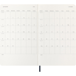 Kalender 12M Daily 2026 Softcover Large Sapphire Blue i gruppen  Papir & Blokk / Kalendere / 12 md kalendere hos Pen Store (136087)