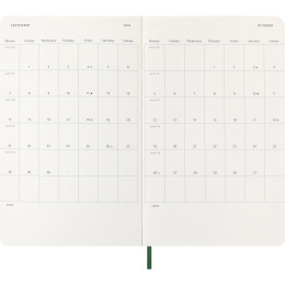 Kalender 12M Daily 2026 Softcover Large Myrtle Green i gruppen  Papir & Blokk / Kalendere / 12 md kalendere hos Pen Store (136088)