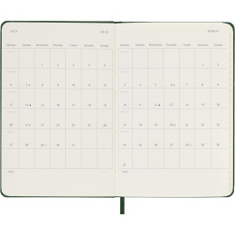 Kalender 12M Daily 2026 Hardcover Pocket Myrtle Green i gruppen  Papir & Blokk / Kalendere / 12 md kalendere hos Pen Store (136092)