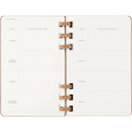 Kalender 12M Spiral Planner 2026 Large Almond i gruppen  Papir & Blokk / Kalendere / 12 md kalendere hos Pen Store (136105)
