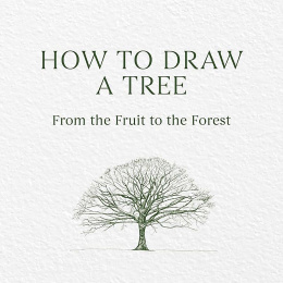 How to Draw a Tree: from the Fruit to the Forest i gruppen Hobby & Kreativitet / Bøker / Instruksjonsbøker hos Pen Store (136291)