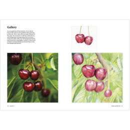 How to Draw a Tree: from the Fruit to the Forest i gruppen Hobby & Kreativitet / Bøker / Instruksjonsbøker hos Pen Store (136291)