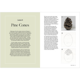 How to Draw a Tree: from the Fruit to the Forest i gruppen Hobby & Kreativitet / Bøker / Instruksjonsbøker hos Pen Store (136291)