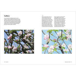 How to Draw a Tree: from the Fruit to the Forest i gruppen Hobby & Kreativitet / Bøker / Instruksjonsbøker hos Pen Store (136291)