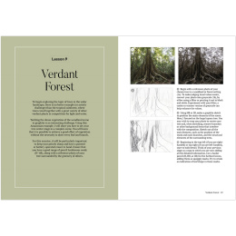 How to Draw a Tree: from the Fruit to the Forest i gruppen Hobby & Kreativitet / Bøker / Instruksjonsbøker hos Pen Store (136291)