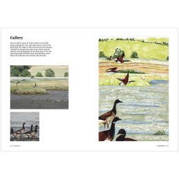 How to Draw a River: from the Source to the Sea i gruppen Hobby & Kreativitet / Bøker / Instruksjonsbøker hos Pen Store (136292)