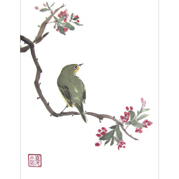 The Art of Sumi-e i gruppen Hobby & Kreativitet / Bøker / Inspirasjonsbøker hos Pen Store (136293)