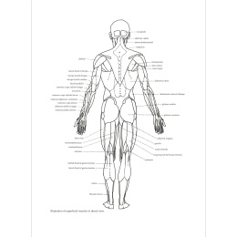 Figure Drawing: A Complete Guide i gruppen Hobby & Kreativitet / Bøker / Inspirasjonsbøker hos Pen Store (136294)