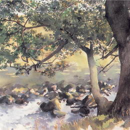 The Watercolour Artist's Bible i gruppen Hobby & Kreativitet / Bøker / Instruksjonsbøker hos Pen Store (136295)