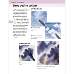 The Watercolour Artist's Bible i gruppen Hobby & Kreativitet / Bøker / Instruksjonsbøker hos Pen Store (136295)