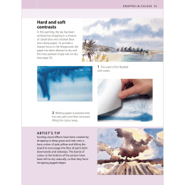 The Watercolour Artist's Bible i gruppen Hobby & Kreativitet / Bøker / Instruksjonsbøker hos Pen Store (136295)