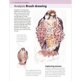 The Watercolour Artist's Bible i gruppen Hobby & Kreativitet / Bøker / Instruksjonsbøker hos Pen Store (136295)