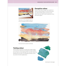 The Watercolour Artist's Bible i gruppen Hobby & Kreativitet / Bøker / Instruksjonsbøker hos Pen Store (136295)