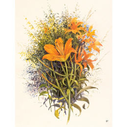 The Art of Gouache i gruppen Hobby & Kreativitet / Bøker / Instruksjonsbøker hos Pen Store (136297)