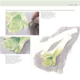 The Encyclopedia of Coloured Pencil Techniques i gruppen Hobby & Kreativitet / Bøker / Instruksjonsbøker hos Pen Store (136298)