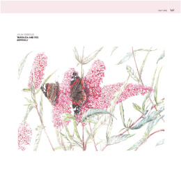 The Encyclopedia of Coloured Pencil Techniques i gruppen Hobby & Kreativitet / Bøker / Instruksjonsbøker hos Pen Store (136298)