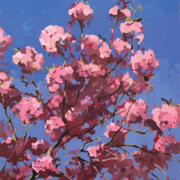 Plein Air Painting with Oils i gruppen Hobby & Kreativitet / Bøker / Instruksjonsbøker hos Pen Store (136306)